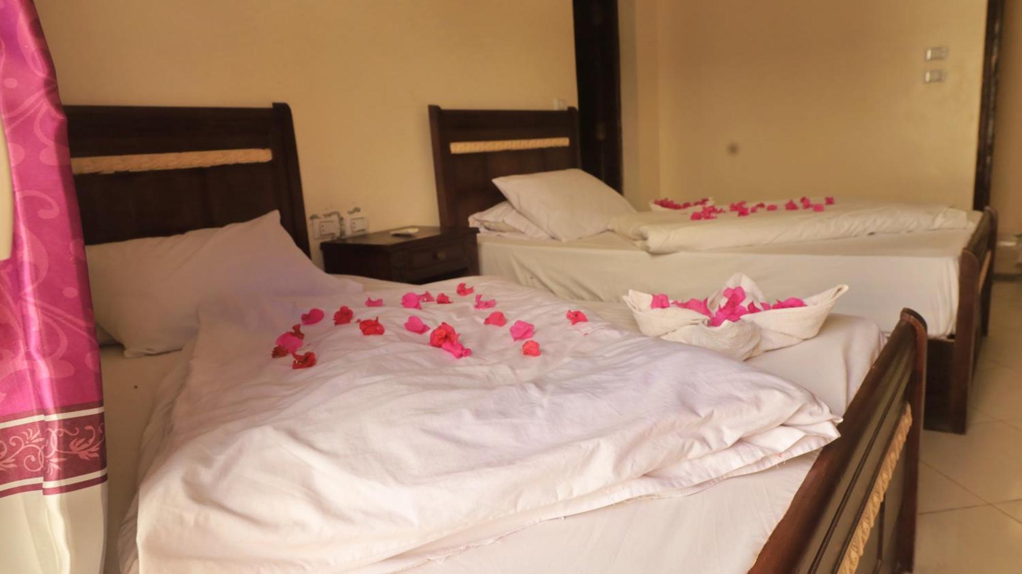 Dahab Bay Hotel Bilik gambar